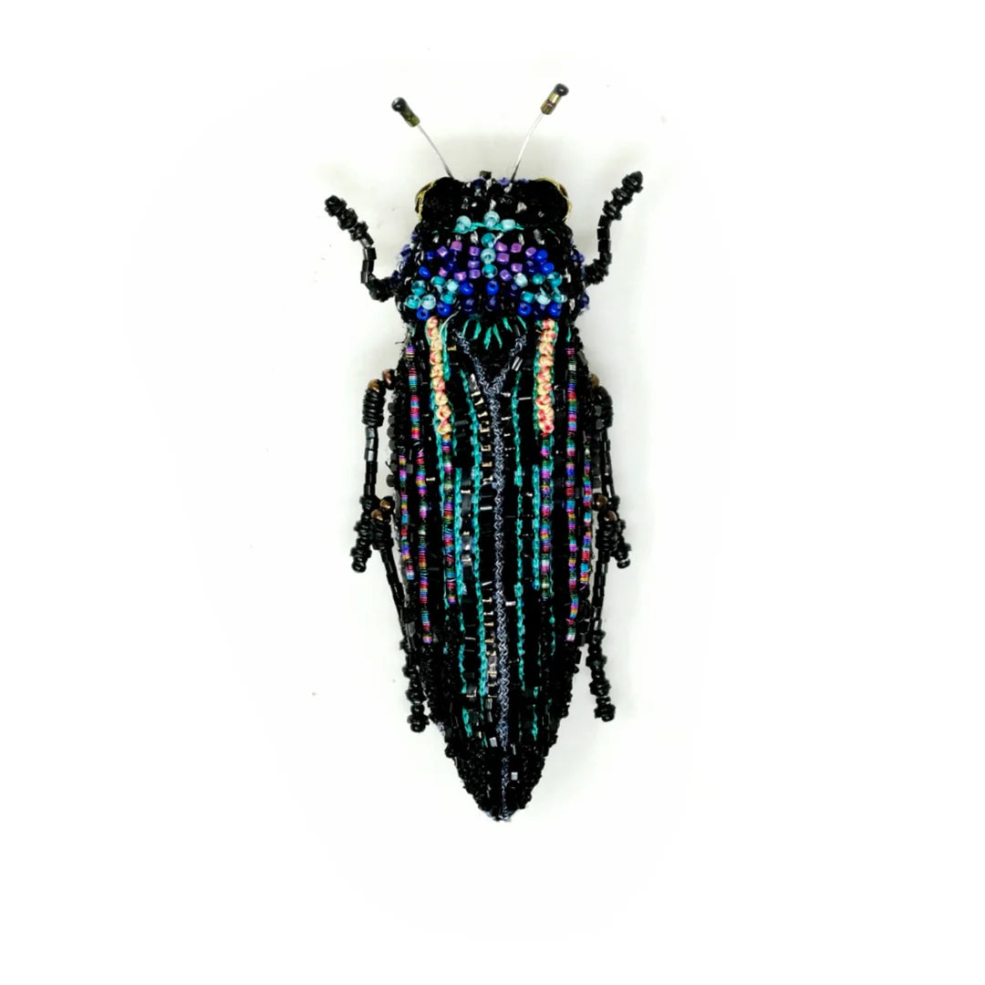 Dhruti & Seema Bawa, Noir Beetle Brooch Pin